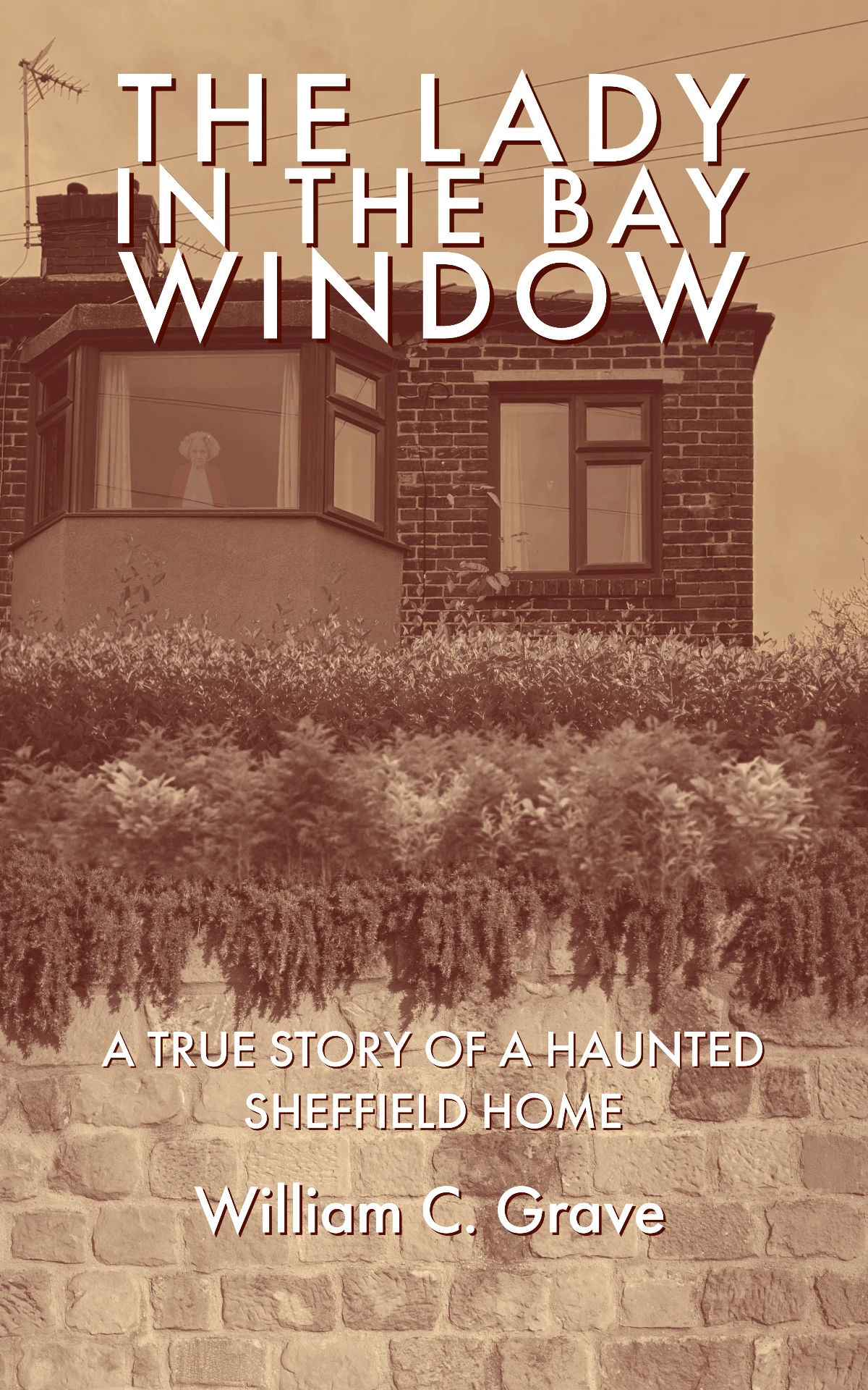 The Lady in the Bay Window cover