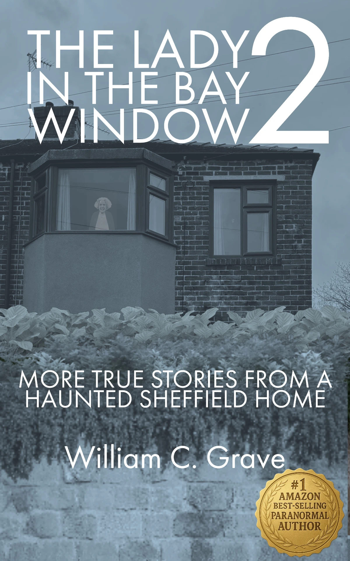 The Lady in the Bay Window 2 cover